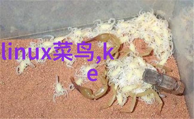 国内首款量子计算机控制系统诞生