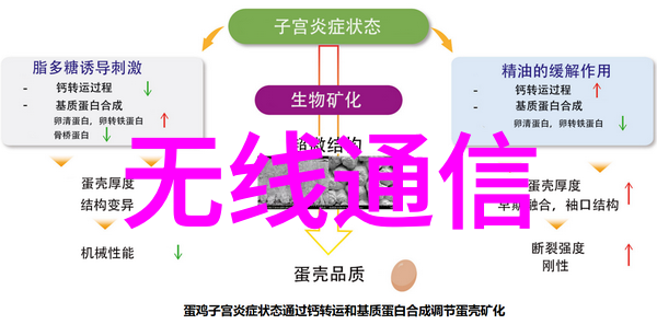 华为已经准备好帮助东南亚地区建立5G基础设施